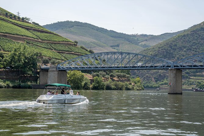 Small Group Douro Valley Wine Tour with Lunch and Cruise - Pickup and timing in Porto: be ready for the morning run