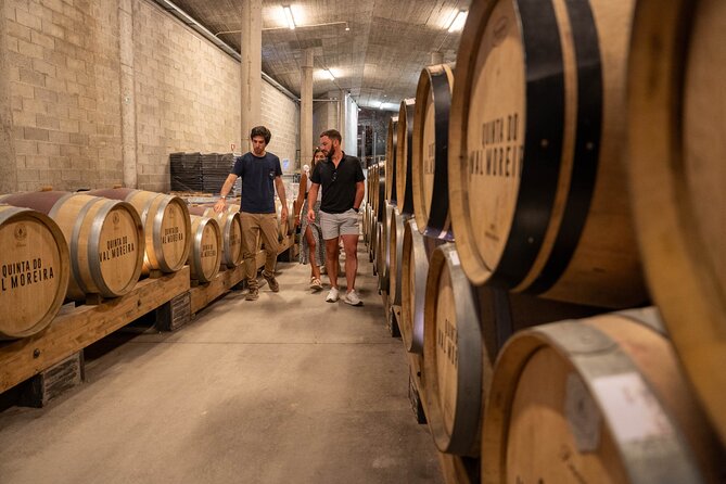 Small Group Douro Valley Wine Tour with Lunch and Cruise - First winery visit: guided vineyards, cellars, and a tasting you can actually compare