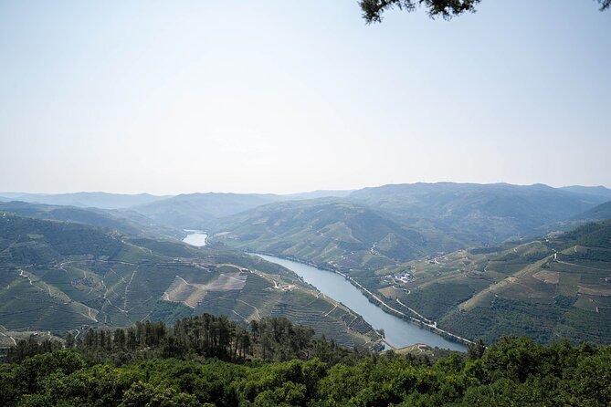 Small Group Douro Valley Wine Tour with Lunch and Cruise - Lunch at the estate: the pairing is the main event