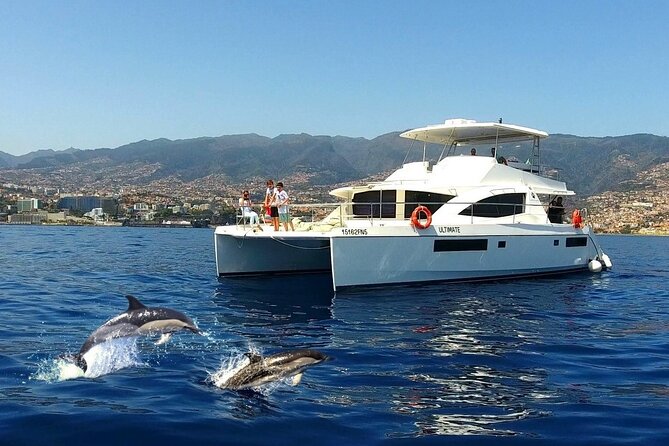 VipDolphins Luxury Whale Watching - Leaving Funchal on a modern catamaran (and what that feels like)