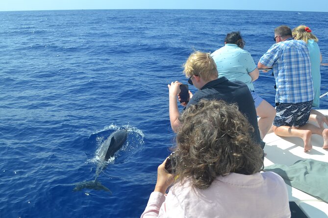 VipDolphins Luxury Whale Watching - Small-group comfort on the water: seats, bathrooms, and the VIP feel