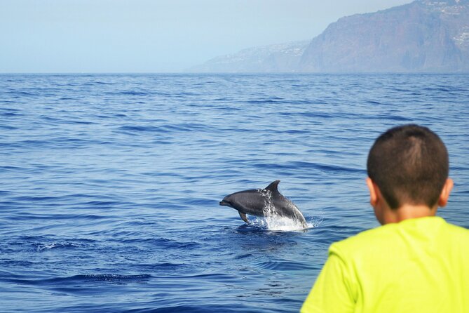 VipDolphins Luxury Whale Watching - Crew energy and local know-how (names you may hear on board)