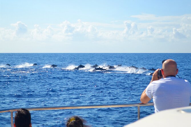 VipDolphins Luxury Whale Watching - Who should book this cruise (and who should think twice)