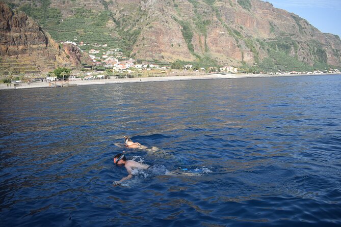 Whale and Dolphin Watching Tour in Madeira - Small Group Comfort: how the boat size shapes your day